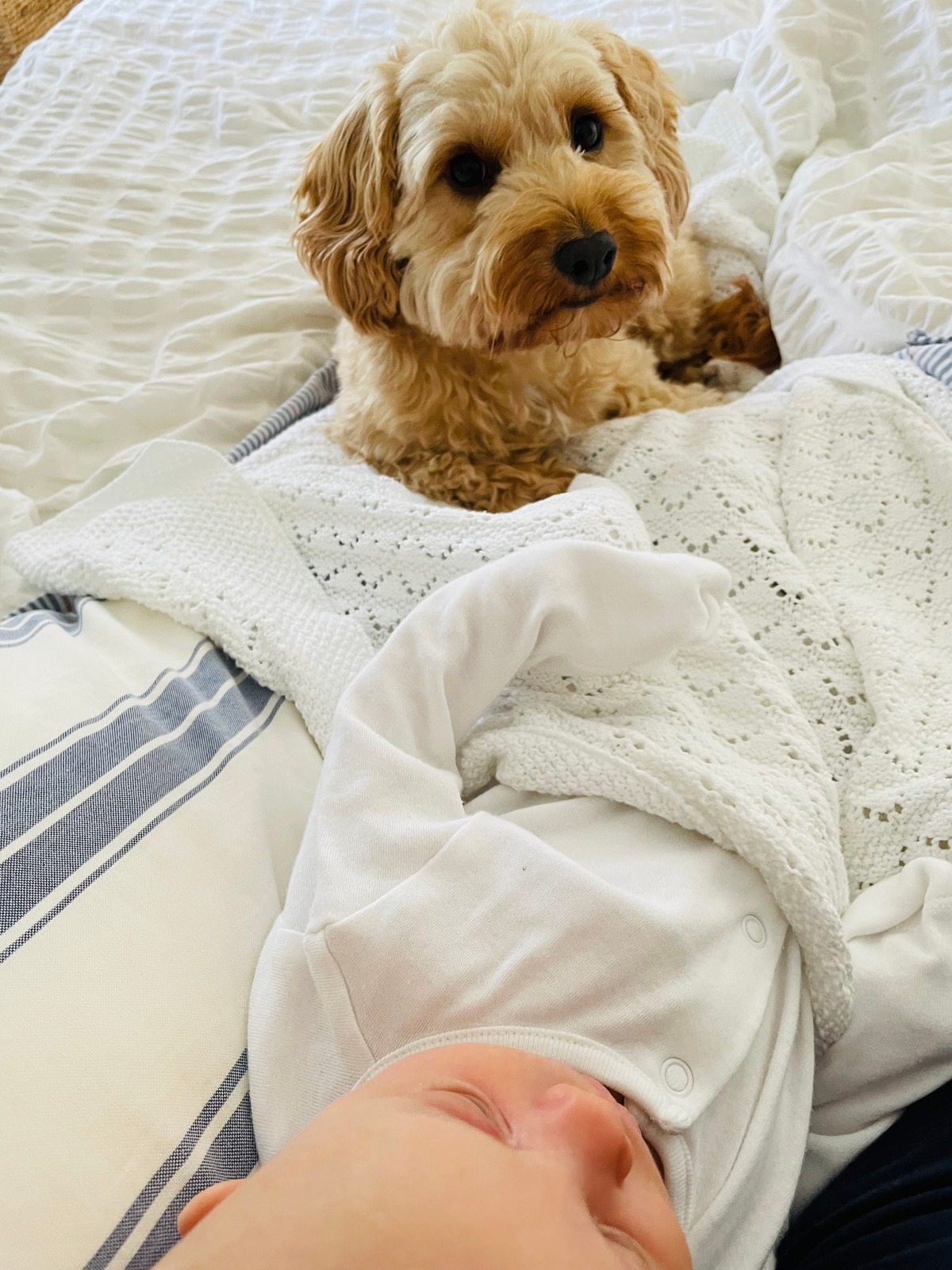 Eating well postpartum when life revolves around a baby